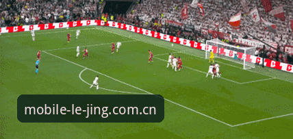 埃梅里率维拉登顶欧联杯决赛，创造多项纪录——乐竞体育平台最新赛事动态深度解析